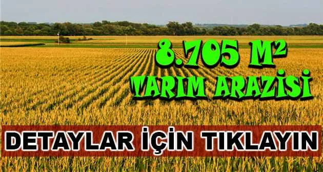 Gaziantep İslahiye'de 8.705 m2 tarım arazisi icradan satılıktır