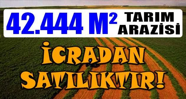 Hatay Reyhanlı'da 42.444 m² tarım arazisi icradan satılıktır
