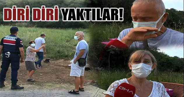 İstanbul'da vahşet! Yavru köpeği diri diri yaktılar