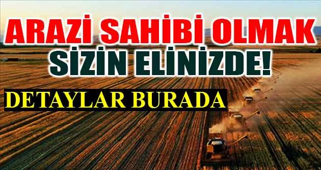 İzmir Bergama 43.854 m² tarım arazisi icradan satılıktır (çoklu satış)