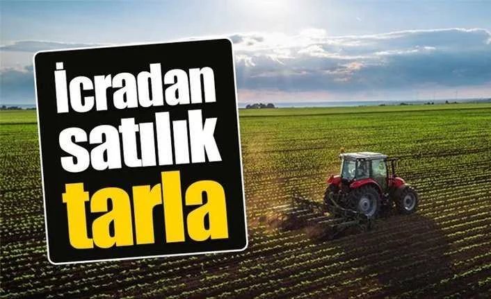 İzmir Bergama'da 1.400 m² sulu tarım arazisi mahkemeden satılıktır