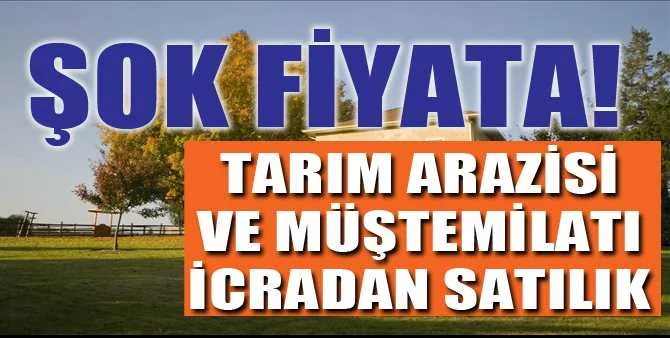 İzmir Kınık'ta 7.816 m² tarım arazisi ve müştemilatı icradan satılıktır (çoklu satış)