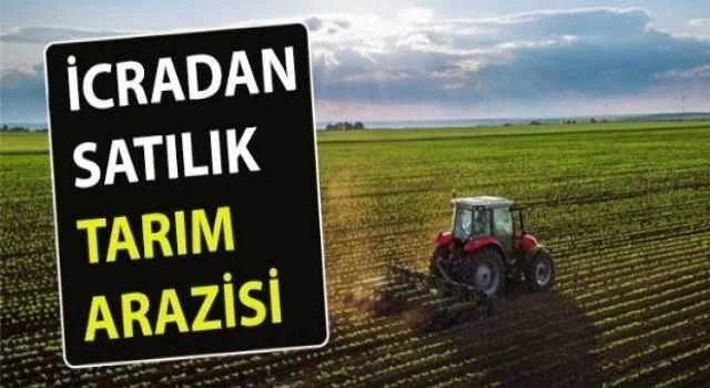 Kilis Musabeyli'de 23.041 m2 tarım arazisi icradan satılıktır (çoklu satış)