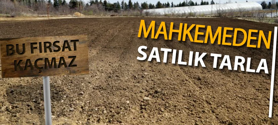 Malatya/Doğanşehir Karataş Mevkii'nde 19.000 m² tarım arazisi icradan satılıktır