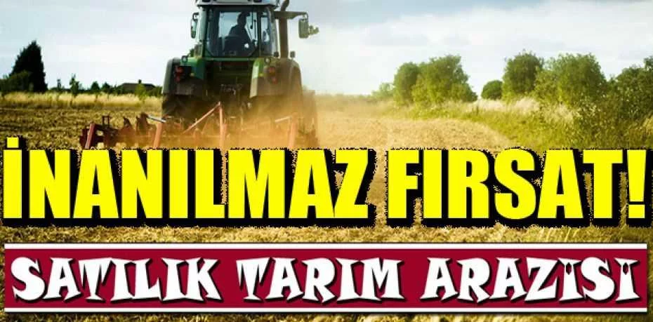 Malatya Pötürge'de 5.200 m² tarım arazisi mahkemeden satılıktır