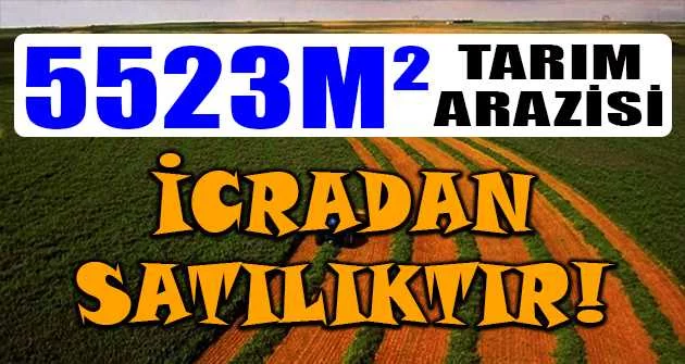 Manisa Alaşehir'de 5523 m² tarım arazisi icradan satılıktır