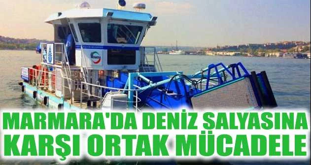 Marmara'da deniz salyasına karşı ortak mücadele
