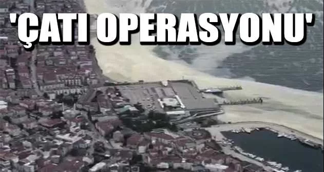 Marmara'da görülen deniz salyasına çare: 'Çatı Operasyonu'