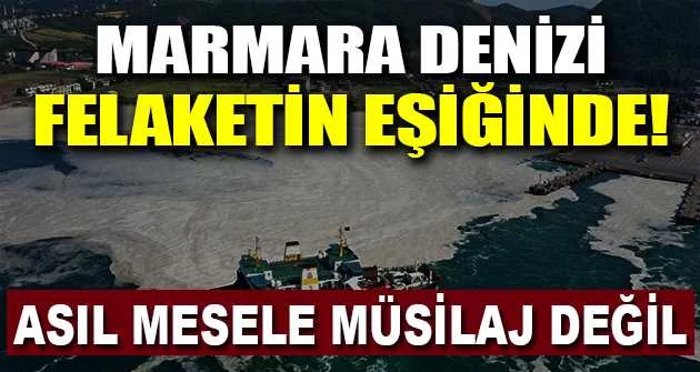 Marmara Denizi felaketin eşiğinde