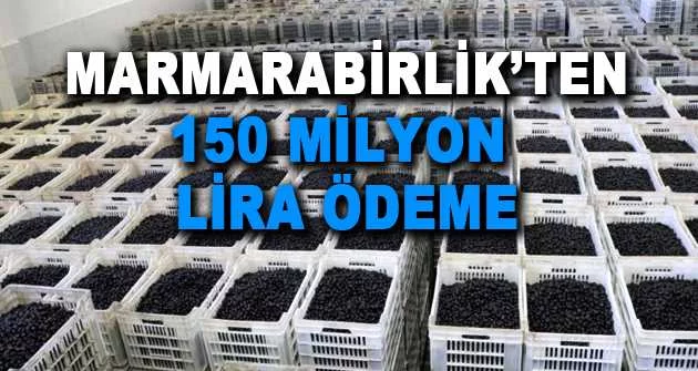 Marmarabirlik’ten 150 milyon lira ödeme