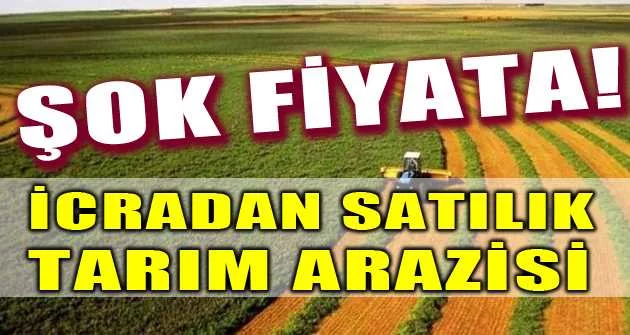 Mersin Tarsus'ta 3.437 m² tarım arazisi icradan satılıktır