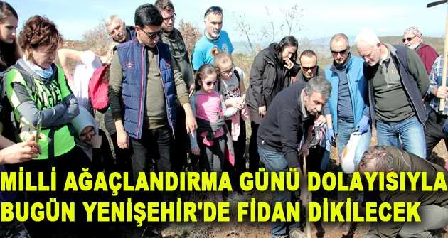 Milli Ağaçlandırma Günü dolayısıyla bugün Yenişehir'de fidan dikilecek