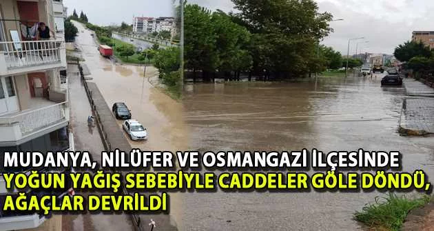 Mudanya, Nilüfer ve Osmangazi ilçesinde yoğun yağış sebebiyle caddeler göle döndü, ağaçlar devrildi