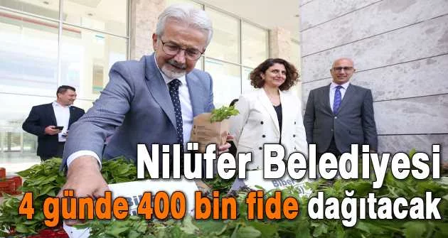 Nilüfer Belediyesi 4 günde 400 bin fide dağıtacak