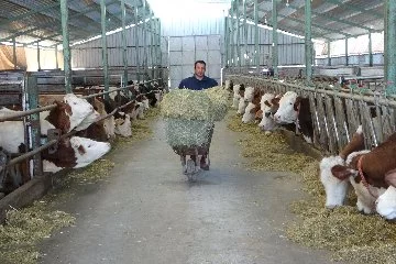 Öğretmenlik hayalini bıraktı çiftlik kurdu