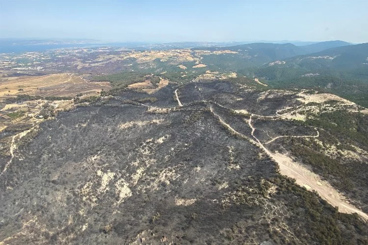 Oradaki yangında 4 bin 260 hektar ormanlık alan zarar gördü