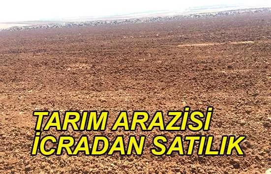 Pınarbaşı Dilciler'de 14682 m² tarım arazisi icradan satılıktır