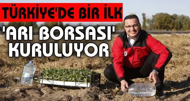 Türkiye'de bir ilk, Mustafakemalpaşa'da 'Arı Borsası' kuruluyor