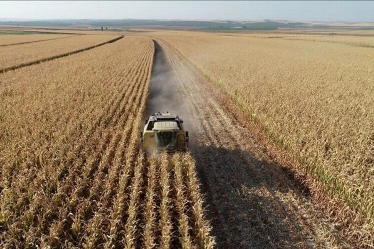 Türkiye'nin Sudan'daki tarım yatırımı tasfiye sürecine giriyor