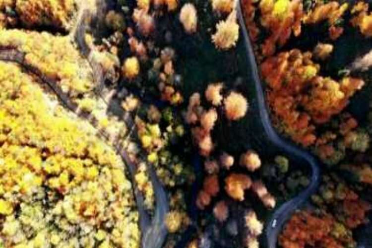Yenice'de sonbahar güzelliği