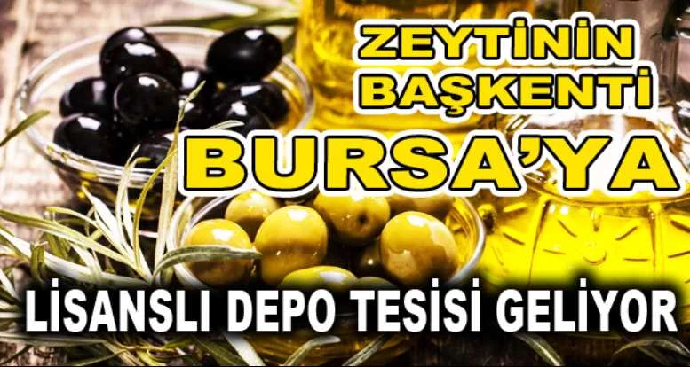 Zeytinin başkenti Bursa’ya lisanslı depo tesisi geliyor