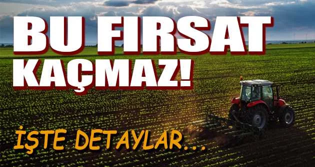 Zonguldak Karadeniz Ereğli'de tarlanın 1/4 hissesi icradan satılacak (çoklu satış)